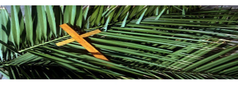 Celebración del Domingo de Ramos desde la catedral de Santiago