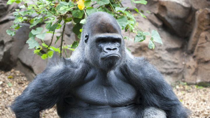 El mundo en cinco minutos: la actualidad internacional de este martes 31