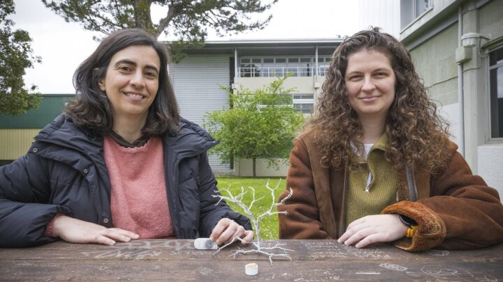 Un grupo de la EHU crea baterías sostenibles con cáscaras de pipas