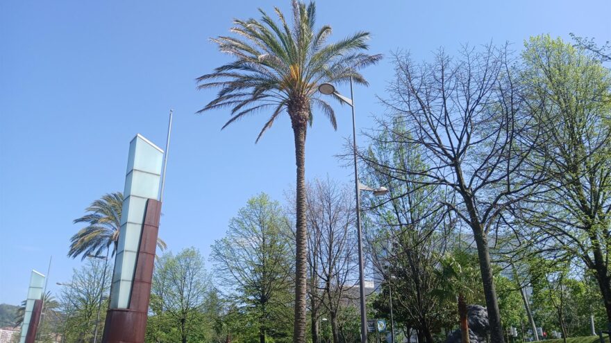 El tiempo este jueves en Bizkaia: sin grandes cambios