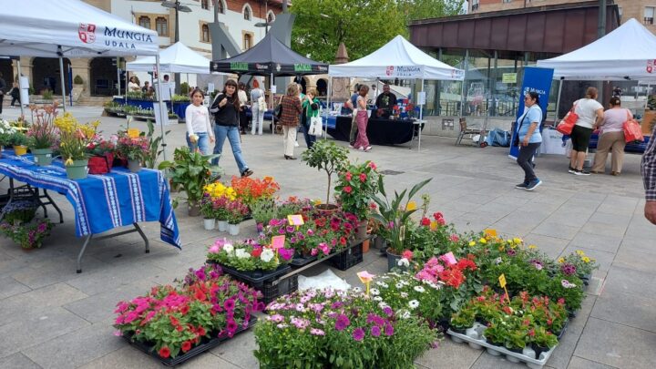 Mungia celebra este sábado su XIX Feria de Plantas Autóctonas, Ornamentales y de Paisaje