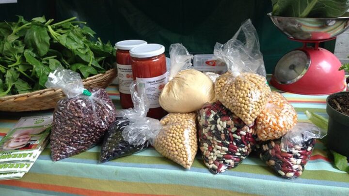 Orduña celebra el 25 de abril su Feria Ecológica como referente ecológico en Bizkaia