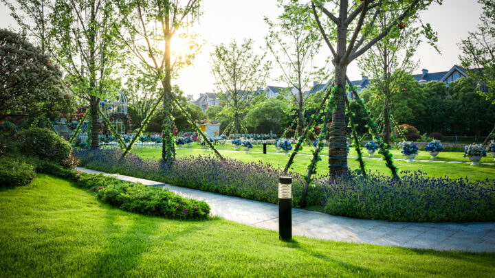 Adiós al jardín de postal: por qué tu césped debería parecerse más al monte