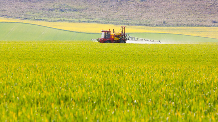 Un herbicida usado desde los años 60, bajo sospecha en el aumento del cáncer colorrectal joven