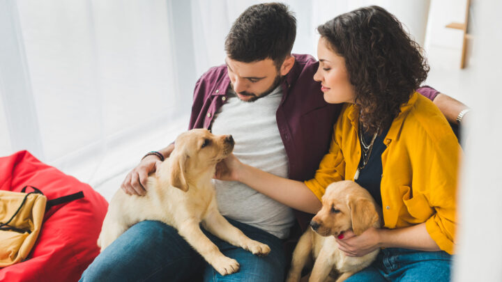 ¿Permisos laborales para cuidar mascotas enfermas? El debate que ya ha llegado a Europa