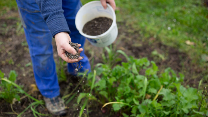 ¿Son necesarios los abonos? El suelo es capaz de darnos todo lo que las plantas necesitan