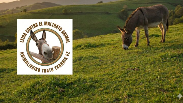 “A los animales se les obliga, se les pega y se les pincha”: la denuncia contra las asto-probak y arrastres con animales