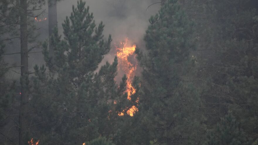 Euskadi mantiene el aviso amarillo por calor y activa el riesgo de incendios forestales