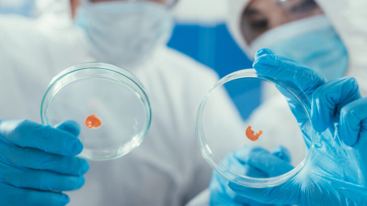Bilbao, sede mundial de la lucha contra las superbacterias