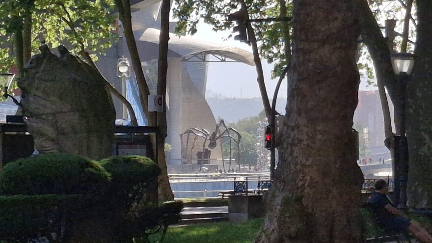 Vigilando a la araña