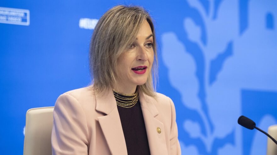 El Gobierno Vasco «duda» de su asistencia al Consejo Interterritorial de Salud