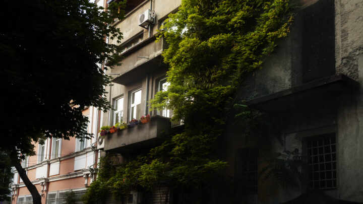 Frente al calor del asfalto bosques urbanos