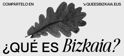 Banner de ¿Qué es Bizkaia? en Bilbao
