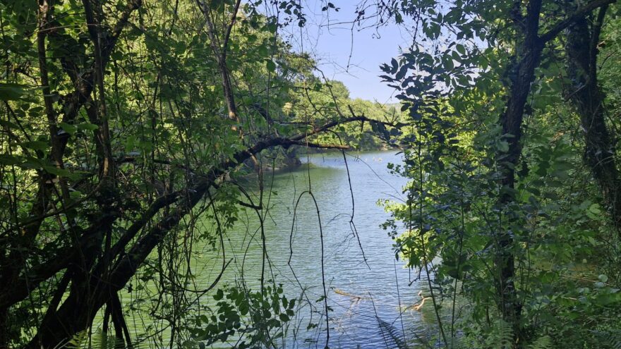 El Regato, un refugio verde