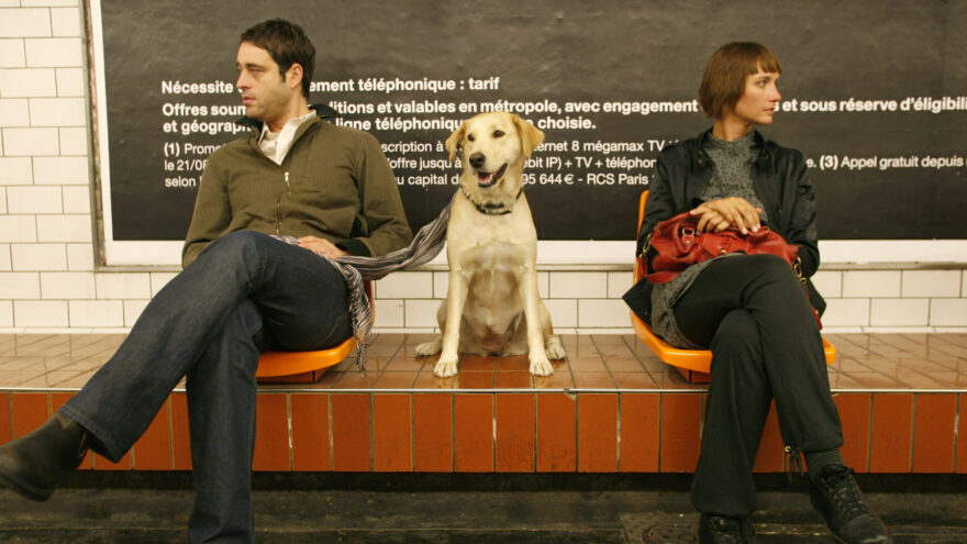 Metro Bilbao permitirá viajar con perros de más de 8 kilos, pero con restricciones
