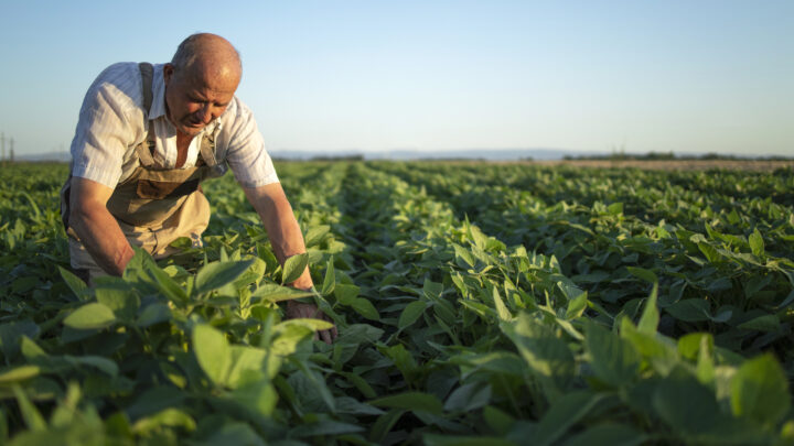 Contra el desmantelamiento del campo: ¿Llega a tiempo la nueva Ley Alimentaria vasca?