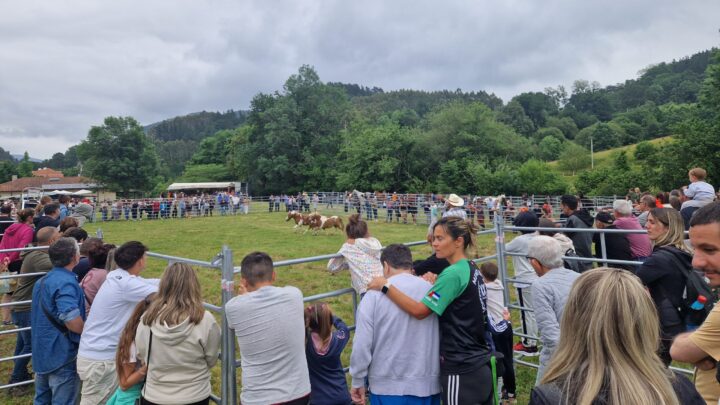 Artzentales celebra su Zaldi Azoka este sábado