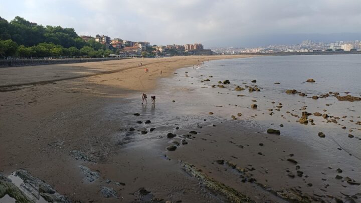 Euskadi arrancará la semana con nubes y lloviznas