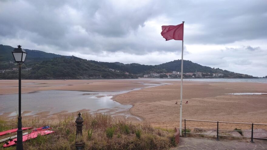 Alerta por medusas en las playas vizcaínas de Barinatxe, Arriatera-Atxabiribil y Bakio