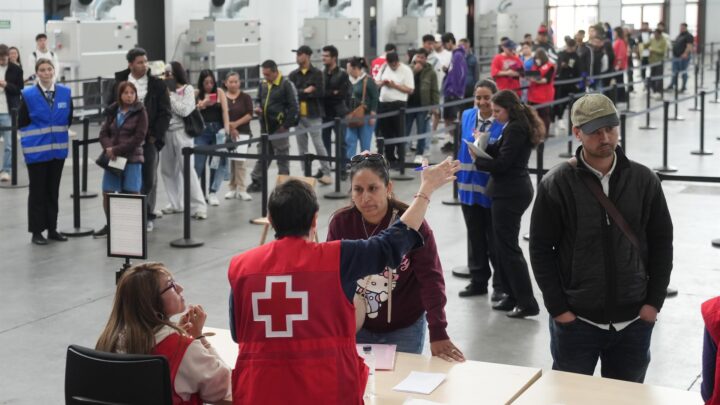 Primeros datos del proceso de regularización