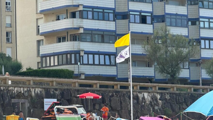 Euskadi registra 29 picaduras de carabela portuguesa