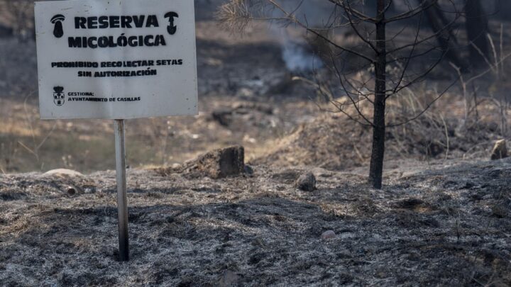 Los incendios forestales han calcinado ya más de 173.650 hectáreas