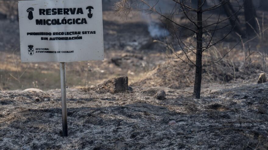 Los incendios forestales han calcinado ya más de 173.650 hectáreas