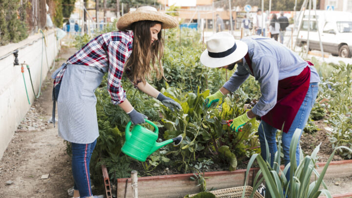 «El futuro está en la tierra y en comer lo que producimos»
