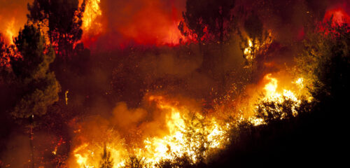 La clave de Bizkaia frente a los incendios: gestión del monte y avisos rápidos al 112