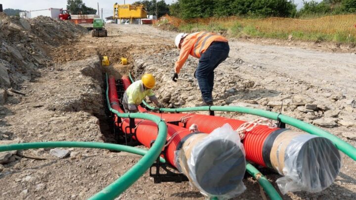 Red Eléctrica defiende su protocolo ambiental en el cableado