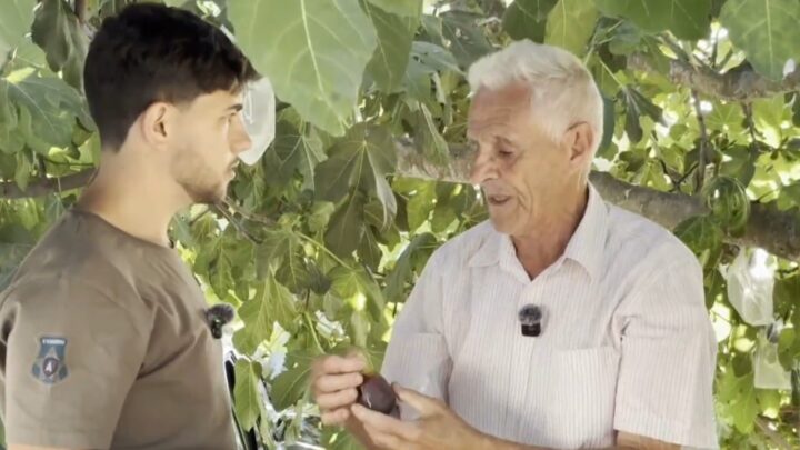 ¿Pueden los ‘agroinfluencers’ salvar el campo?