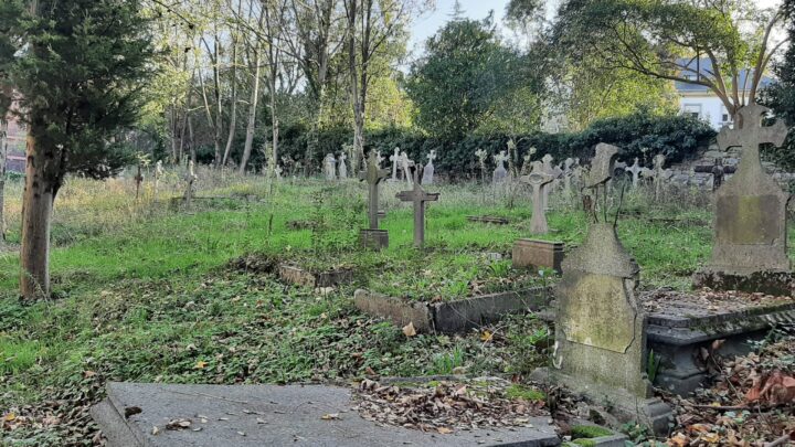 La maleza se apodera del cementerio de Begoña mientras el barrio espera su transformación