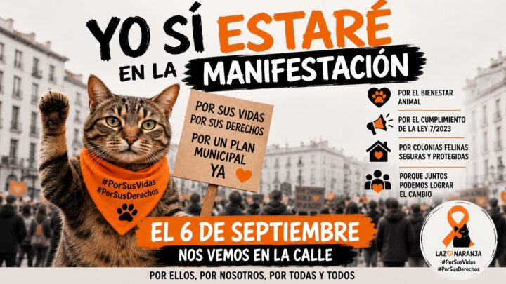 Bilbao se moviliza por las colonias felinas: «Lo único que pedimos es que se cumpla la ley»