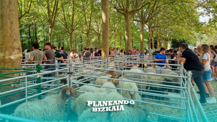 Este fin de semana: Jatabeer Fest, Feria de Galdames y mucho más…