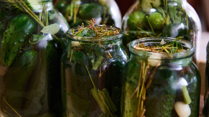 Extractos fermentados: el suplemento natural y ancestral para tus cultivos