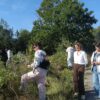 Bizkaia invertirá más de 5 millones de euros para luchar contra especies invasoras de Urdaibai