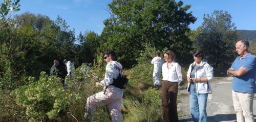 Bizkaia invertirá más de 5 millones de euros para luchar contra especies invasoras de Urdaibai