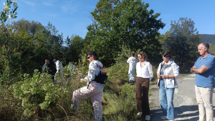 Bizkaia invertirá más de 5 millones de euros para luchar contra especies invasoras de Urdaibai