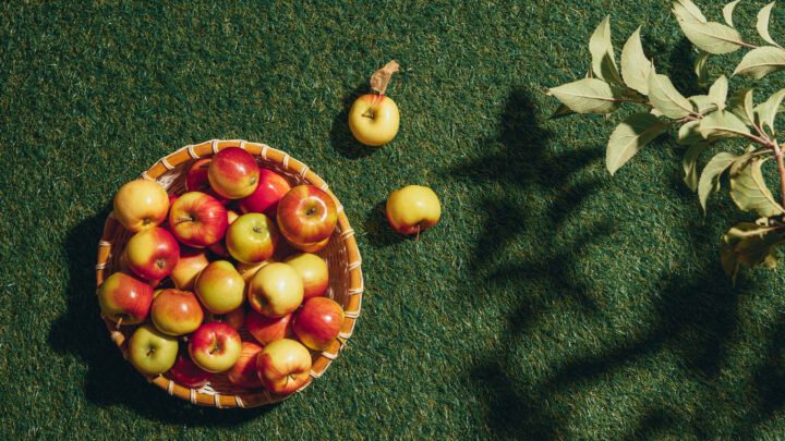 El CSIC prueba una alternativa natural a los antibióticos para proteger los frutales
