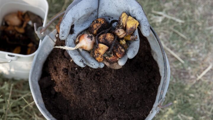 Así puedes elaborar tu propio compost casero