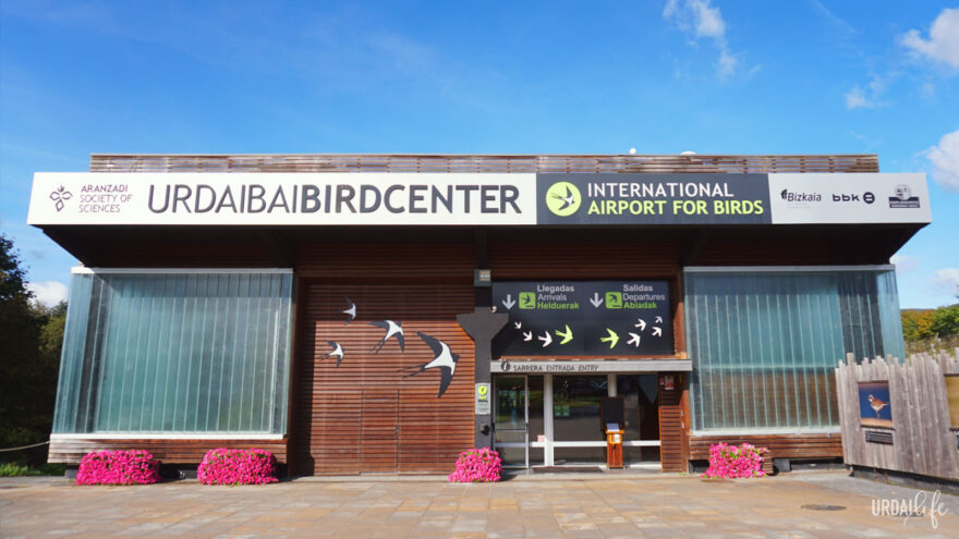 Urdaibai Bird Center abre gratis sus puertas este domingo