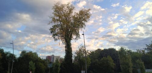El martes arranca despejado en Euskadi, pero no terminará igual