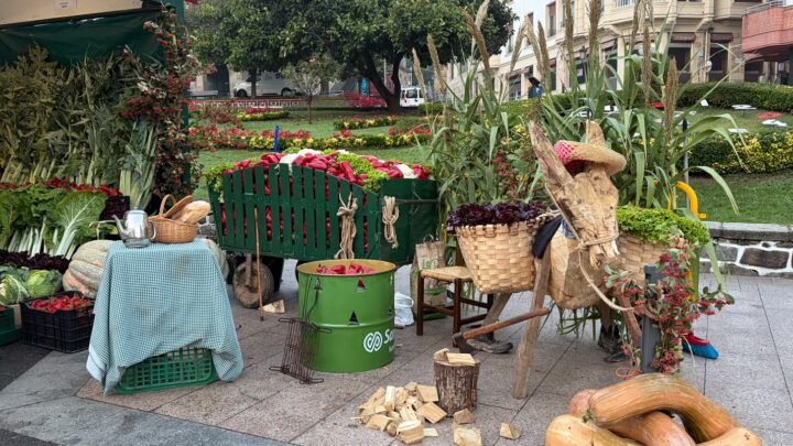 La Diputación de Bizkaia destina 2 millones de euros en ayudas para paliar los efectos de la sequía en el sector agrario